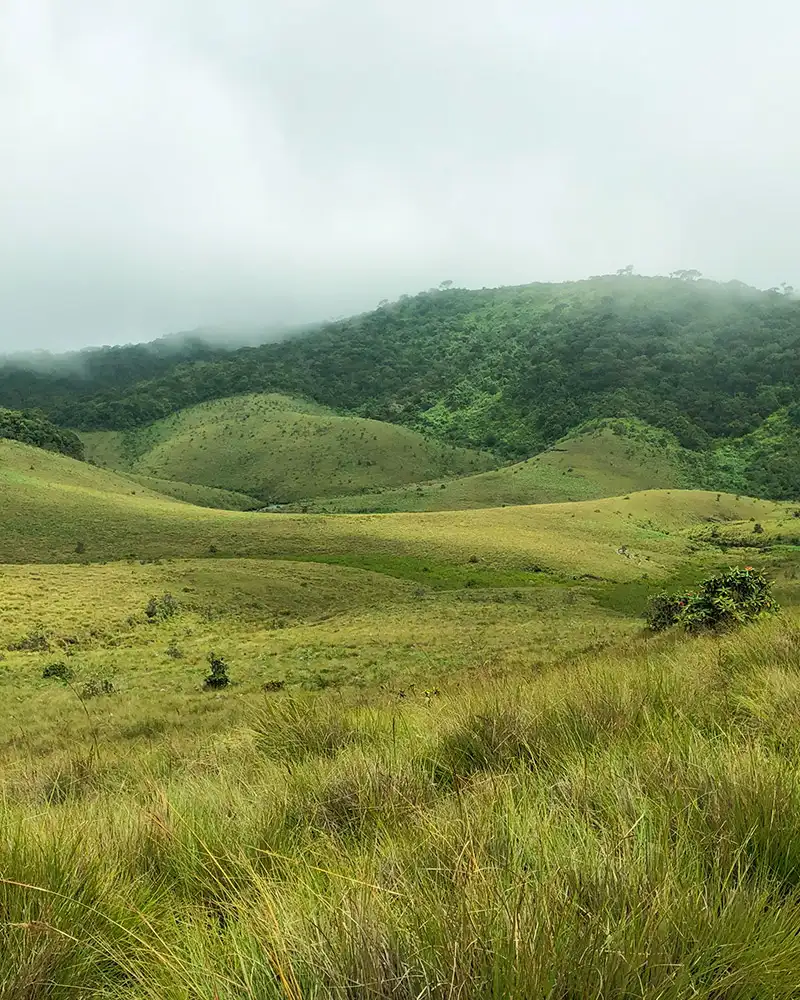 HORTON PLAINS
