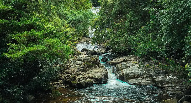 SINHARAJA RAIN FOREST