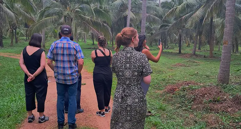 COCONUT ESTATE TOUR