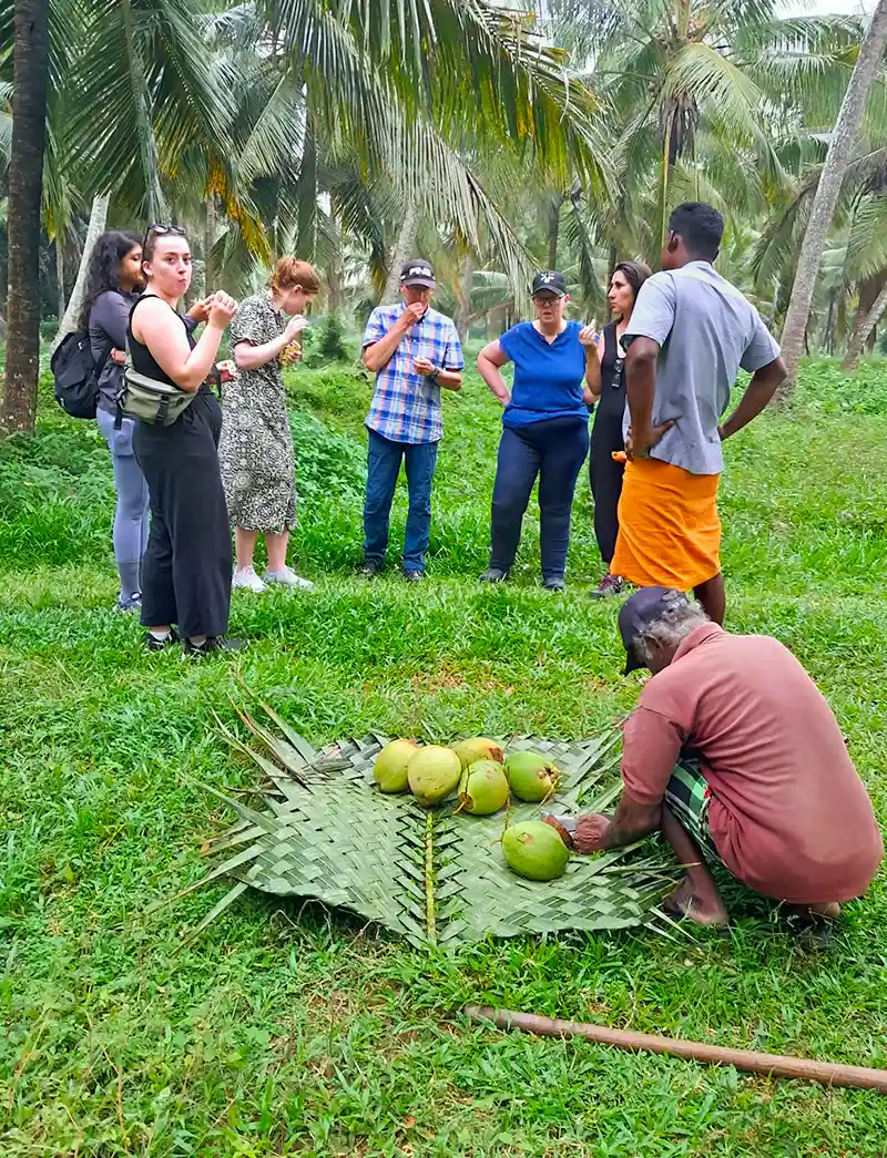 Horathapola-Coconut-Estate