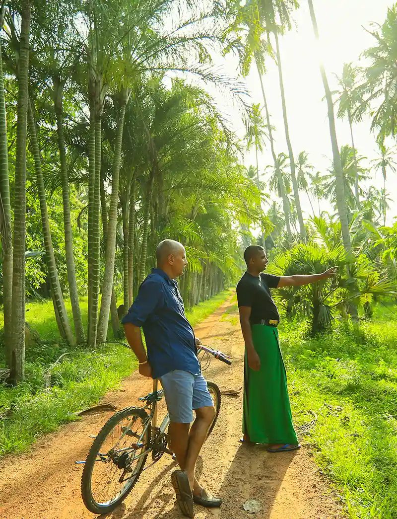 Horathapola-Coconut-Estate