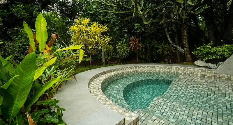JUNGLE JACUZZI