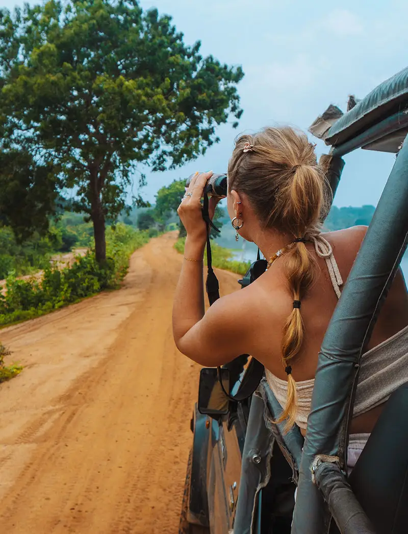 Kulu Safari