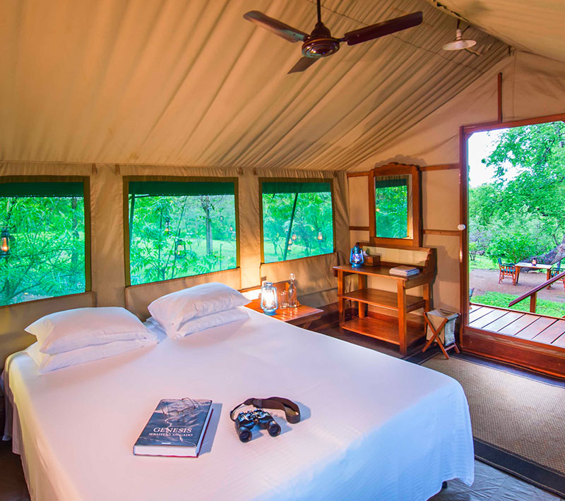 Accommodation