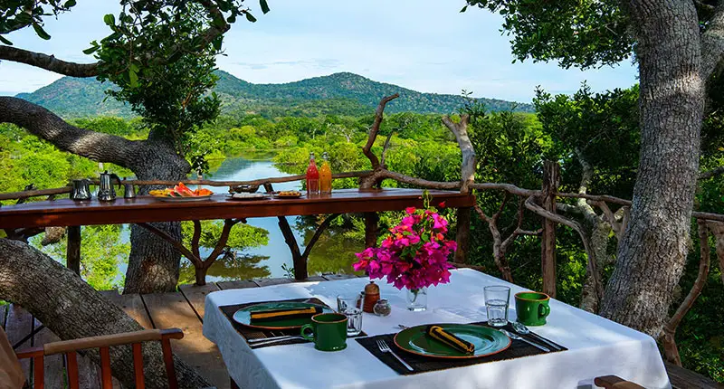 TREETOP DINING