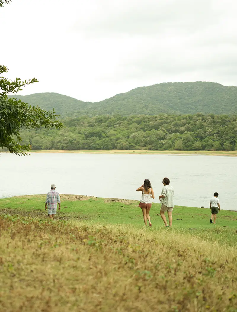 Peacock Hill