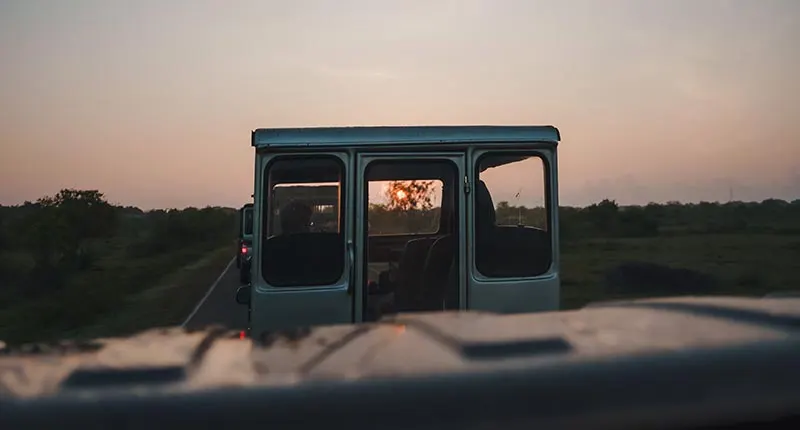 WILDLIFE SAFARI