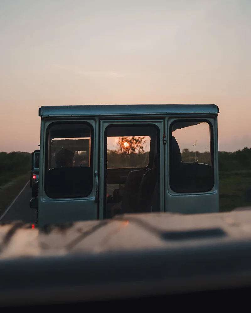 YALA NATIONAL PARK SAFARI