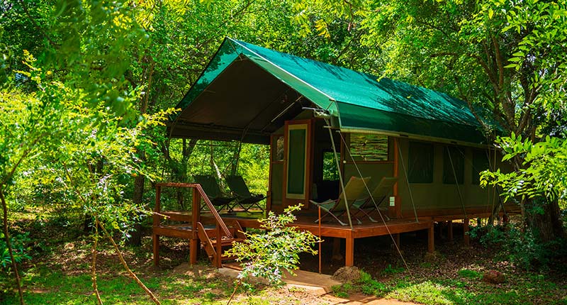 Secrets of Ceylon Wildlife and Hills