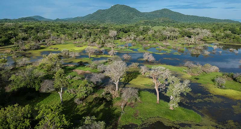 Secrets of Ceylon Wildlife and Hills