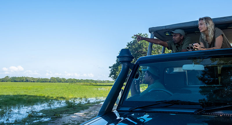 Secrets of Ceylon Wildlife and Hills