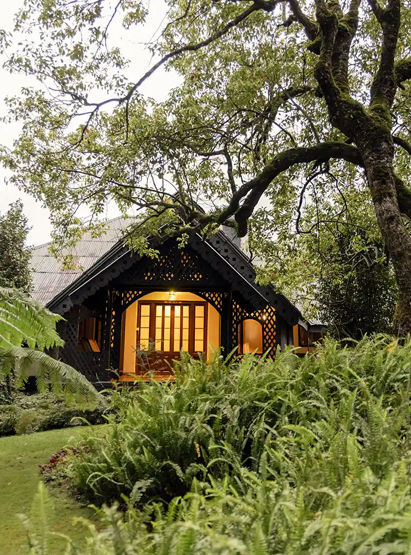 Green bungalow